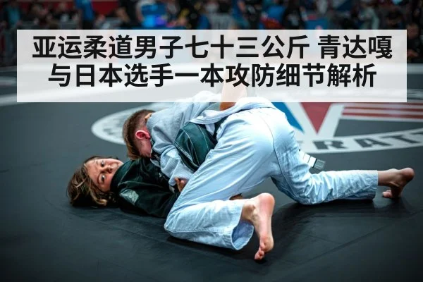 judo competition action