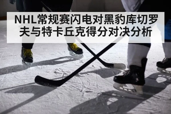 NHL常规赛闪电对黑豹库切罗夫与特卡丘克得分对决分析